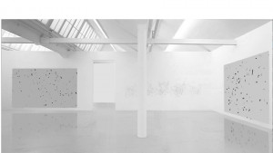 https://www.theospinnler.ch/files/gimgs/th-1_flucturation still V.jpg